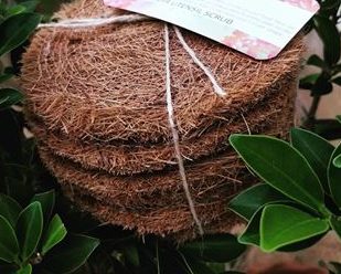 Coconut Coir Scrubbers